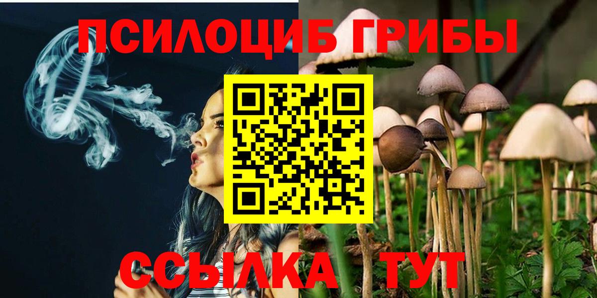 Псилоцибиновые грибы Psilocybe  Псилоцибиновые грибы Psilocybe  Норильск  Вход с VPN 