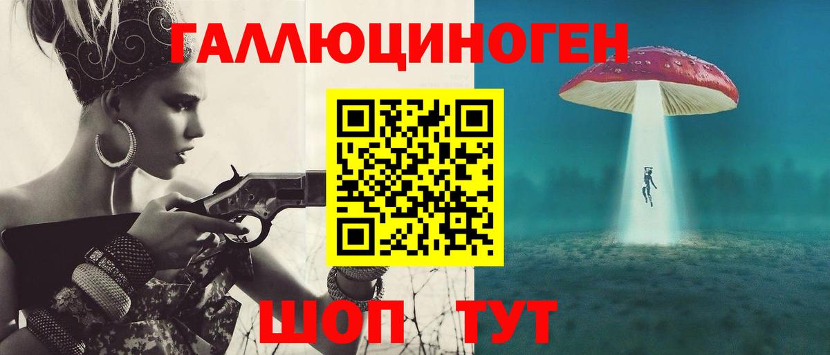 Галлюциногенные грибы Psilocybe Норильск